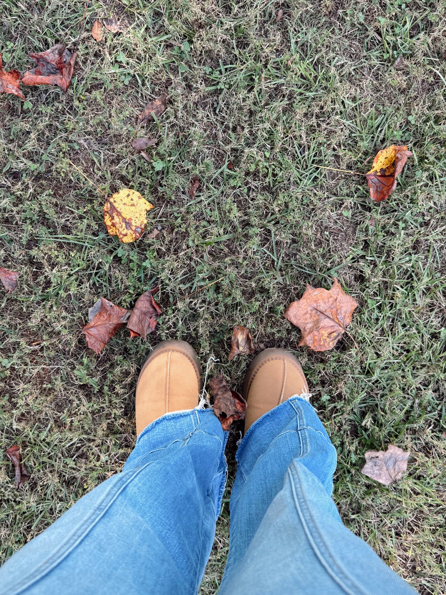 Daybreak Jeans