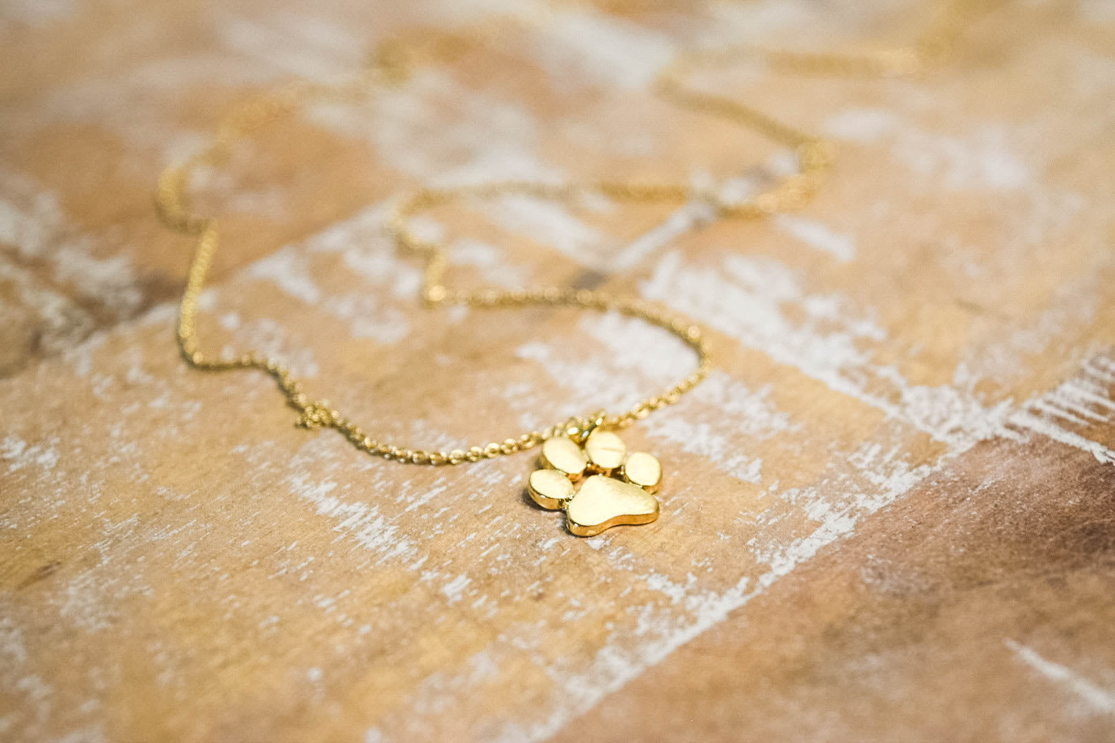 Paw Print Necklace – Gold